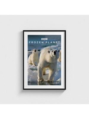 Domirus Frozen Planet Dizi Posteri Tablo Çerçeveli Poster Duvar Dekorasyonu