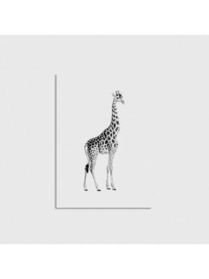 Domirus Giraffe Poster Çerçevesiz Duvar Dekorasyonu