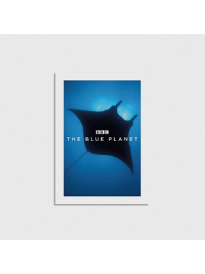 Domirus The Blue Planet Dizi Posteri Poster Çerçevesiz Duvar Dekorasyonu