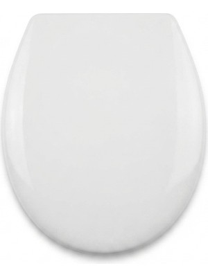 Turkuaz Duroplast Klozet Kapağı