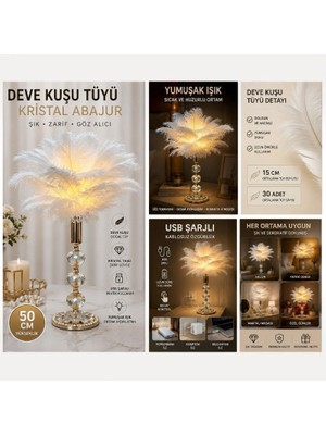 Hediye Fikri USB Şarjlı Deve Kuşu Tüyü Abajur 50 cm Kristal Taşlı Dekoratif Masa Lambası
