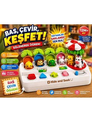 Scntoys Eğitici Hayvanlı Pop-Up Aktivite Oyuncağı | Basmalı Motor Beceri Geliştirici | 12+ Ay Bebek Oyuncağı
