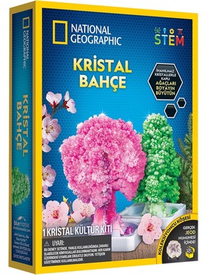 Renklime Natgeo Kristal Bitki Kiti