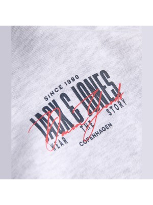 Jack & Jones Erkek Gri Bisiklet Yaka Sweatshirt - Aero Dijital Göğüs Günlük Stil