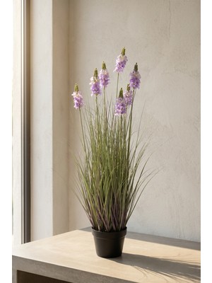 Acar Eterna Bloom Yapay Saksılı Şebboy Mor- 90 cm