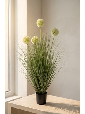 Acar Eterna Bloom Yapay Saksılı Allium Çiçeği Krem - 90 cm