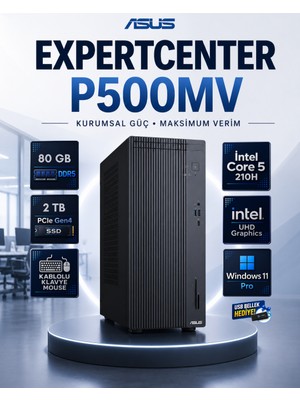 Asus Expertcenter P500 Mini Tower Intel Core 5 210H 80 GB Ddr5 2 Tb SSD Windows 11 Pro Masaüstü Bilgisayar P500MV-C521016512G0DRNP31