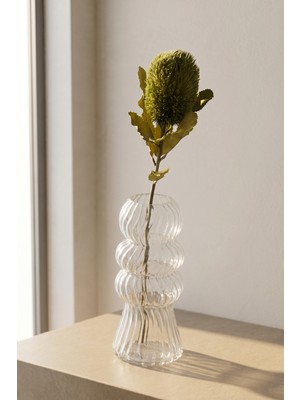 Acar Eterna Bloom Yapay Tek Dal Banksia Çiçeği Yeşil - 65 cm