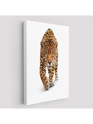 Uslucan Alışveriş Vahşi Leopar TABLOSU-5957