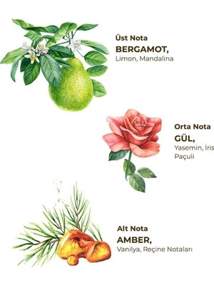 Uravas Store Mey Ithalat®   Kolonya Pet Şişe Sprey 150 ml Amber