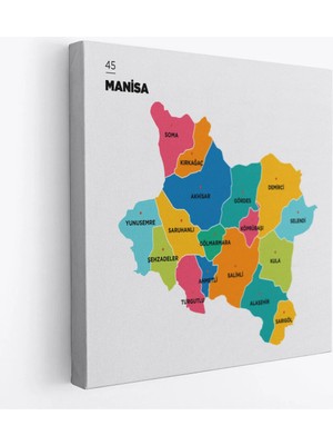 Trezon Manisa Ili ve Ilçeler Haritası Dekoratif Kanvas Tablo 1412