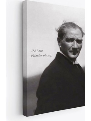 Trezon Atatürk Portre Tablosu Mustafa Kemal Atatürk Dikdörtgen Dekoratif Kanvas TABLO-FD-128
