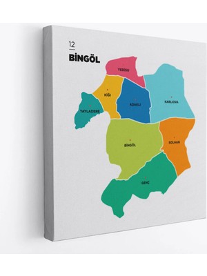 Trezon Bingöl Ili ve Ilçeler Haritası Dekoratif Kanvas Tablo 1294