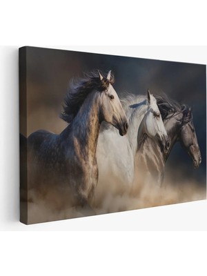 Trezon Koşan Atlar Dekoratif Kanvas Tablo -1129
