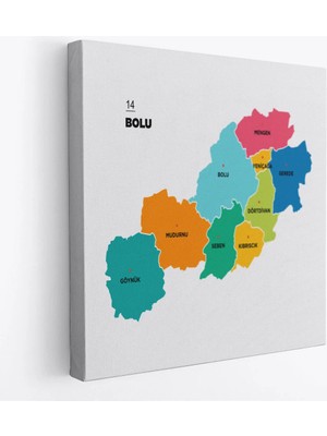 Trezon Bolu Ili ve Ilçeler Haritası Dekoratif Kanvas Tablo 1300