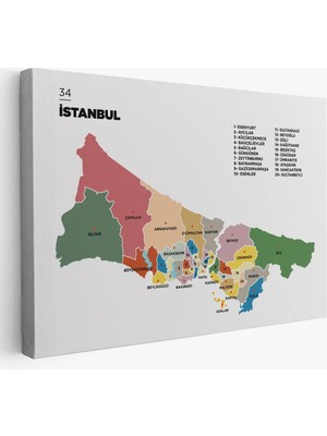 Trezon Istanbul Ili ve Ilçeler Haritası Dekoratif Kanvas Tablo 1365