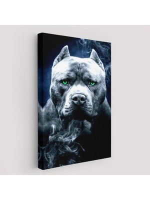 Trezon Pit Bull Yeşil Gözlü Amerikan Bully Köpek Kanvas TABLO-5259