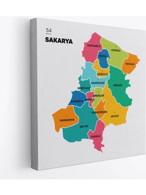 Trezon Sakarya Ili ve Ilçeler Haritası Dekoratif Kanvas Tablo 1442