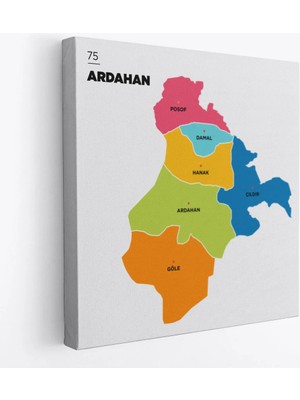 Trezon Ardahan Ili ve Ilçeler Haritası Dekoratif Kanvas Tablo 1270