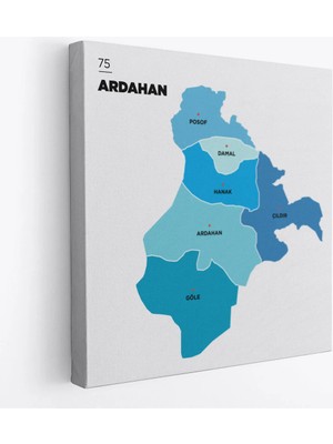 Trezon Ardahan Ili ve Ilçeler Haritası Dekoratif Kanvas Tablo 1272