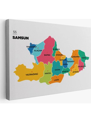 Trezon Samsun Ili ve Ilçeler Haritası Dekoratif Kanvas Tablo 1445