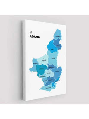 Trezon Adana Ili ve Ilçeler Haritası Dekoratif Kanvas Tablo 1247