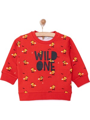 TeknoKapsül Ebebek Hello Baby Hellobaby Erkek Bebek Sweatshirt Şardonlu Wild One Baskılı Çıtçıtlı Bisiklet Yaka Uzun Kol