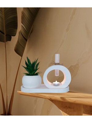 Empressco Beton Saksıda Yapay Sukulent Oval Modern Tüp Buhardanlık Oval Altlık Set