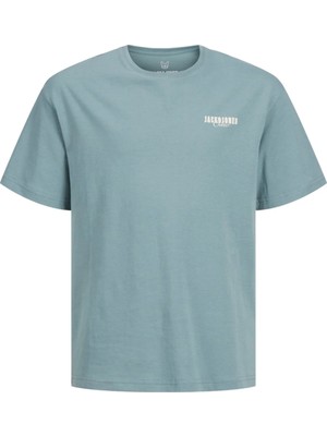 Jack & Jones Jack Jones Jjstyd Loose Graphıc Tee Ss Cneck Ln Jnr Çocuk Mavi Tshirt 12270140-07