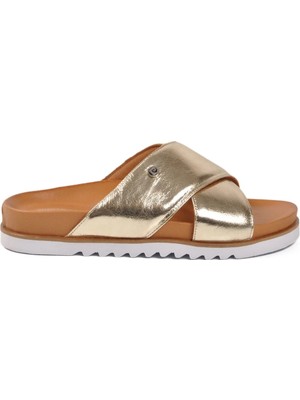 Pierre Cardin PC-54601 Z Altın Kadın Terlik