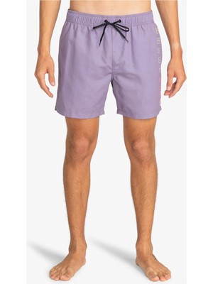Billabong All Day Herıtage Lb Erkek Gri Şort EBYJV00122-GVO