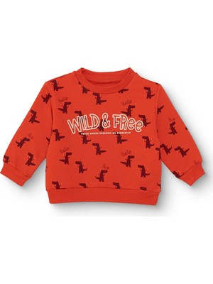 Hellobaby Erkek Bebek Sweatshirt Dinozor Baskılı Bisiklet Yaka Uzun Kol