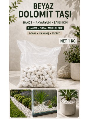  beyaz dolomit taşı 5 kg 2-4 cm orta / medium size boy tozsuz yıkanmış