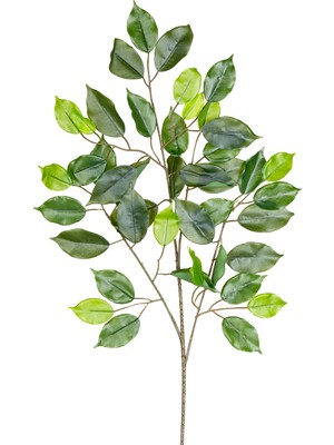 Herdekora Yapay Ficus Dalı Gerçek Dokulu 62 Cm.