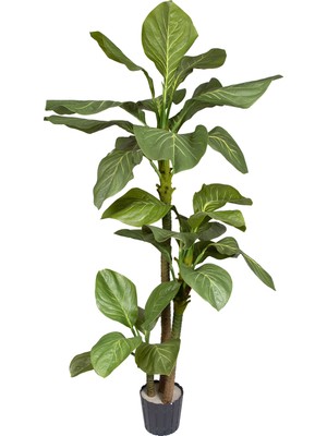 Herdekora Yapay Antoryum Ağacı Yeşil 160 Cm.