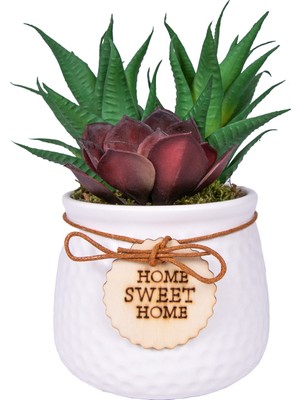 Herdekora Seramik Beyaz Saksıda Sukulent Aranjmanı Bordo-Yeşil 14X17 Cm.