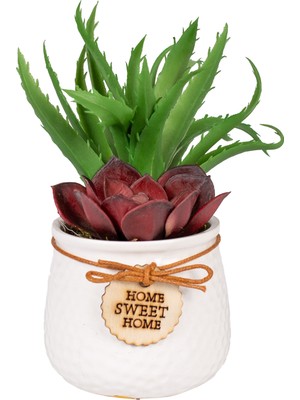 Herdekora Seramik Beyaz Saksıda Sukulent Aranjmanı Bordo-Yeşil 13X17 Cm.