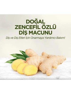 Belle Fusion Mey Ithalat®   Doğal Diş Macunu 90 gr Zencefil Özlü