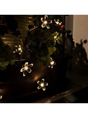 Belle Fusion Mey Ithalat® Solar 5m 50 LED Papatya Gün Işığı 8 Fonksiyonlu
