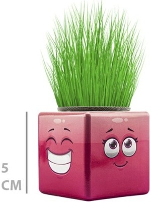 Belle Fusion Mey Ithalat® Çim Adam Mini Küp Emoji Figürlü 1 Adet