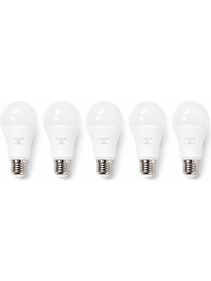 Uzman Dörtler - Ledx 12 Watt E27 1080 Lümen 6500K Beyaz LED Ampul 5 Adet