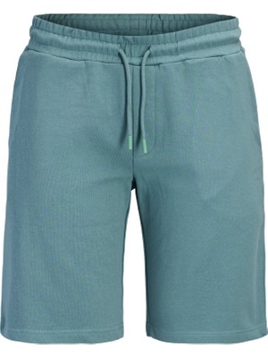 Jack & Jones Erkek Logo Detayli Sort - Gordon