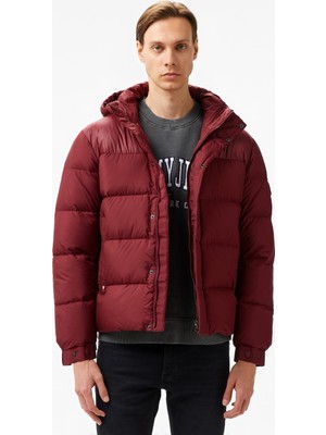 Tommy Hilfiger Erkek Mor Mont