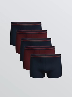 Lc Waikiki Yeni Sezon Büyük Beden Standart Kalıp Pamuklu Esnek Erkek Boxer 5'li