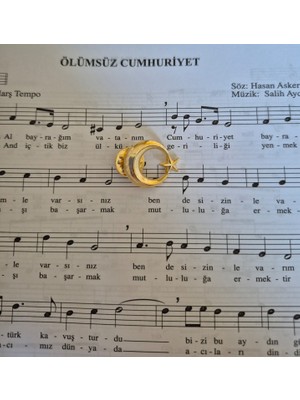 Müzik Ve Herşey Ay Yıldız Broş Gold