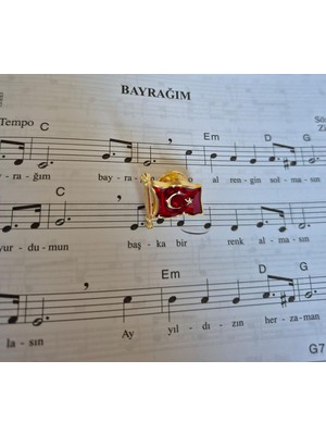Müzik Ve Herşey Türk Bayrağı Broş