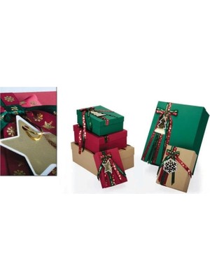 Gıpta Nebia Dikdörtgen Hediye Kutusu BX3137 C N0:03 160X230X85MM - Tekli