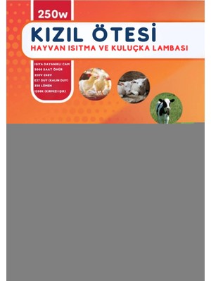 Genel Tedarik 250W Kızılötesi (Infrared) Isıtıcılı Hayvan Isıtma ve Kuluçka Lambası (Kırmızı Işık) E27 (Kalın Duy)