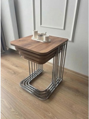 4'lü Tekerlekli Modern Zigon Sehpa
