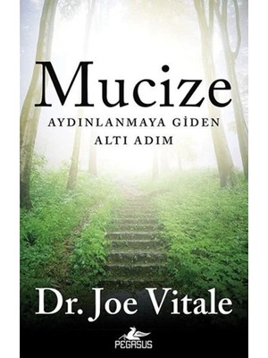 TeknoKapsül Pegasus Yayınları Mucize: Aydınlanmaya Giden Altı Adım – Joe Vitale